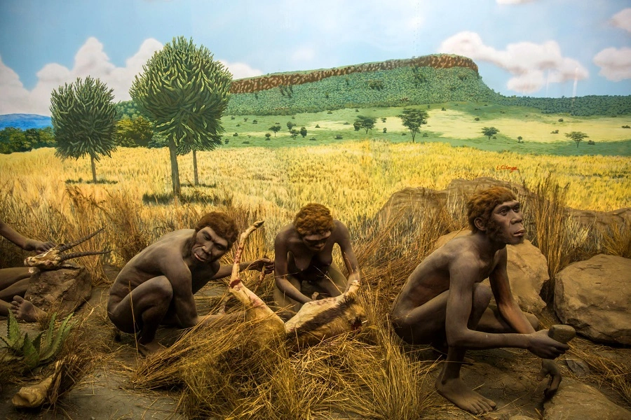 Alte Hominiden kamen vor 700.000 Jahren auf die Philippinen