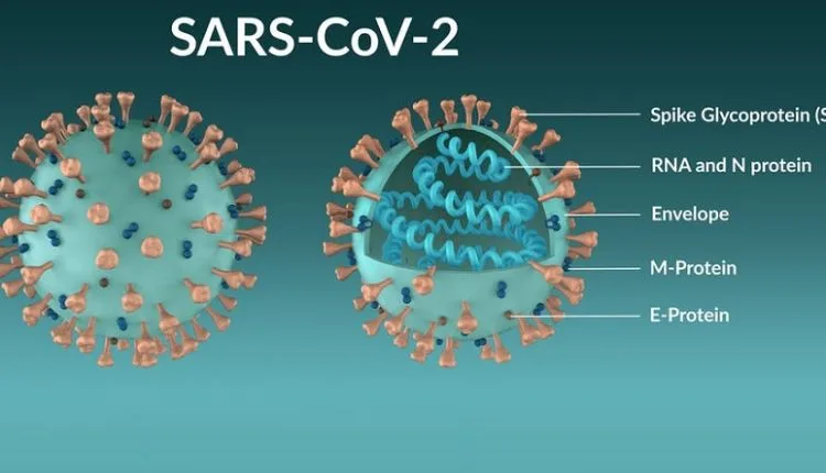Wird eine neue Coronavirus-Mutation den Impfstoff beeinflussen?