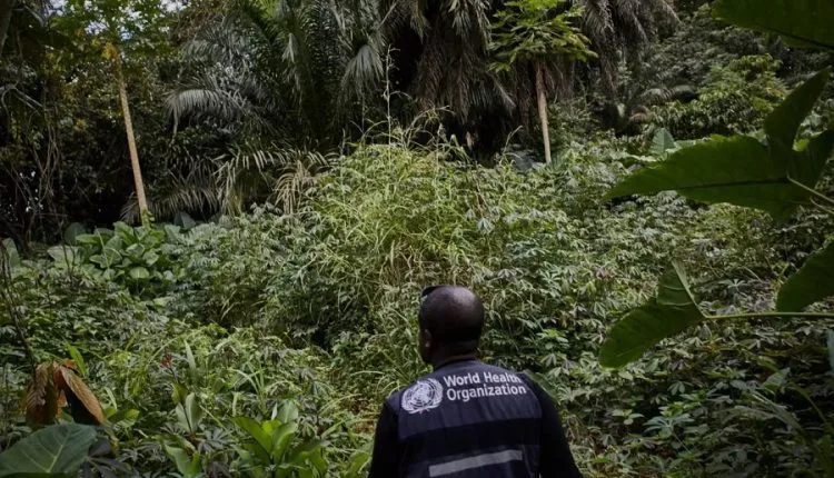 In Afrika wiederentdecktes Ebola-Virus