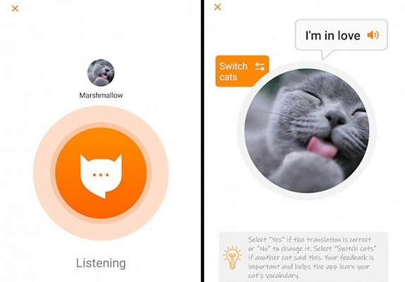 MeowTalkは人間の翻訳者への猫です。 アプリは機械学習を使用します