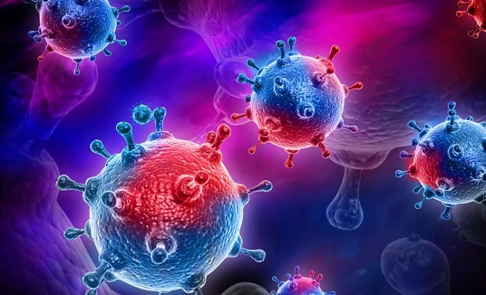 Synthetische Moleküle ahmen Zellen nach, um das Grippevirus abzutöten