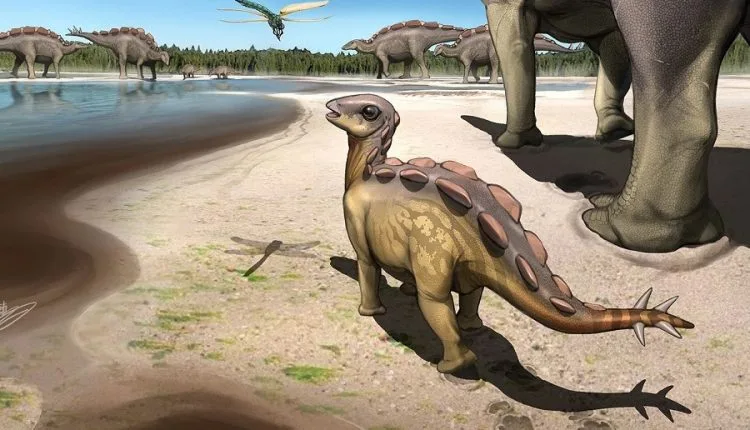 Pegada fóssil de bebê estegossauro surpreende cientistas