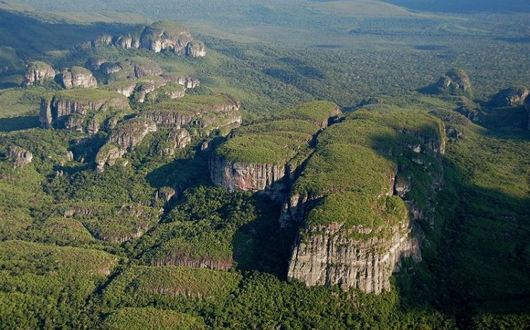 Les premiers habitants des forêts amazoniennes vivaient à côté d'animaux géants