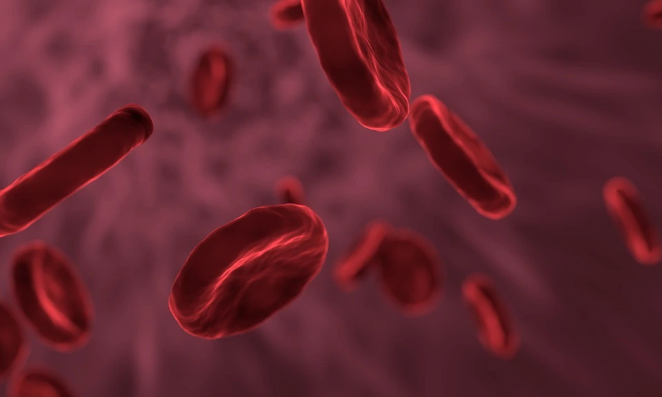 Novo dispositivo faz monitoramento contínuo do sangue em tempo real