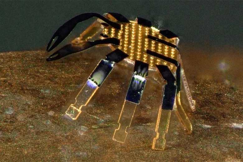 Wissenschaftler aus China und den Vereinigten Staaten schufen das kleinste in der Welt eines Walking -Roboters
