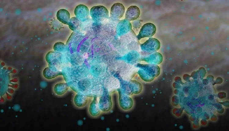 Wie das Coronavirus von Fledermäusen auf Menschen überging
