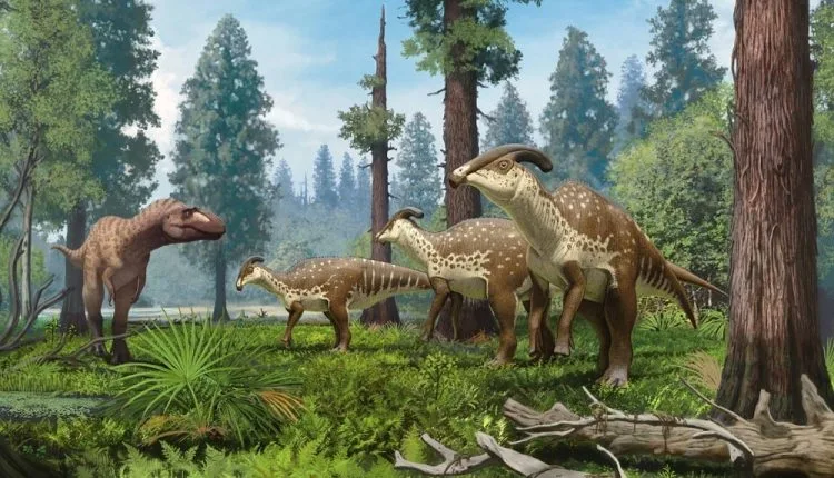 Paleontologistas encontram um crânio bem preservado de um dinossauro com bico de pato