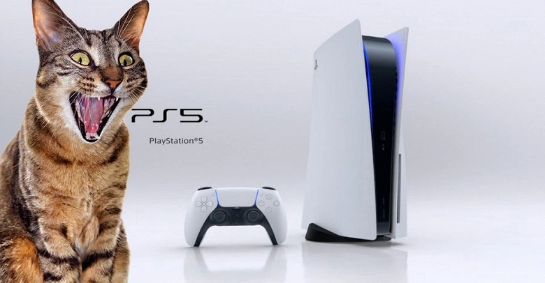 Sony PlayStation 5 대신 고양이 먹이 등이 올 수 있습니다.