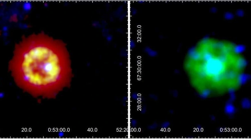 Verschmelzung zweier weißer Zwerge zu einem ungewöhnlichen, instabilen Stern