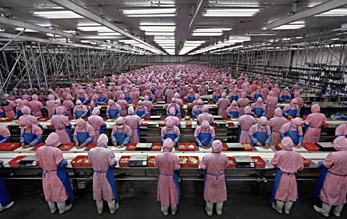 Foxconn 공장에서 iPhone 및 다른 Apple 장비의 생산은 부분적으로 