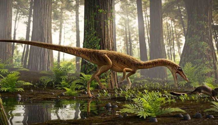 Neuer fleischfressender Dinosaurier Erythrovenator jacuiensis in Brasilien gefunden