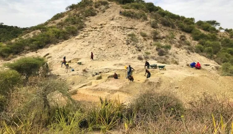 탄자니아에서 발견 된 2 백만년 된 석기 도구