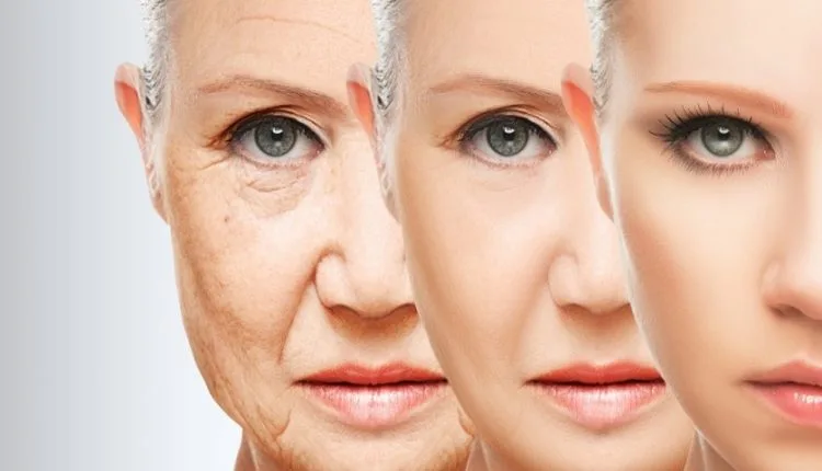 Metolazona como agente anti-envelhecimento