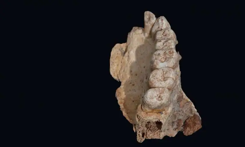 Homo sapiens a quitté l'Afrique 50000 ans plus tôt