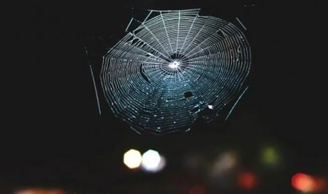 Cientistas transformaram a teia de aranha em um instrumento musical e a fizeram soar