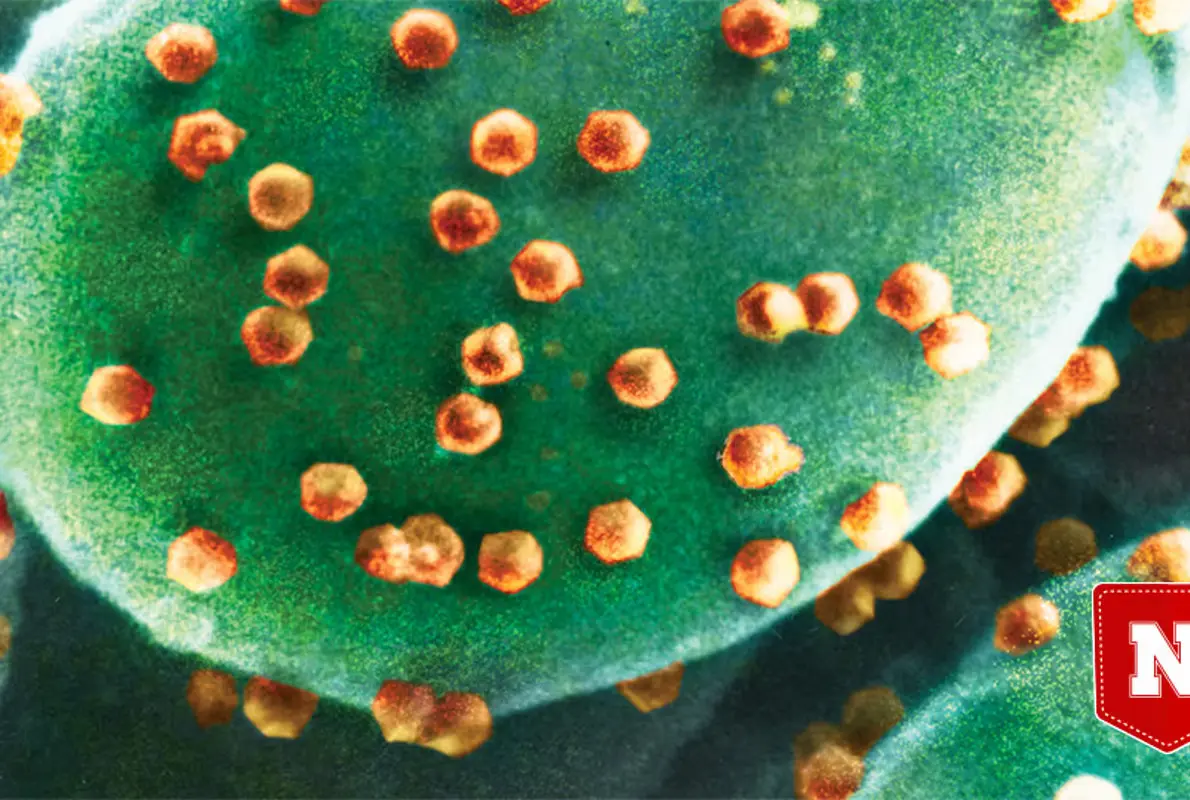 과학자들은 처음으로 바이러스를 먹는 유기체를 발견했습니다.