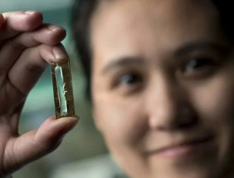 La nuova nanobatteria può rendere la tecnologia quasi eterna