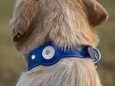 Tierärzte glauben, dass Apple AirTag Tags für Hunde gefährlich sind