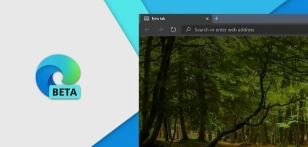 Microsoft veröffentlicht Microsoft Edge Beta Build 111.0.1661.15 Änderungsprotokoll