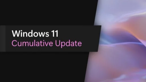 Microsoft は Windows 11 Build 22621.1344 をリリースしました (KB5022913)