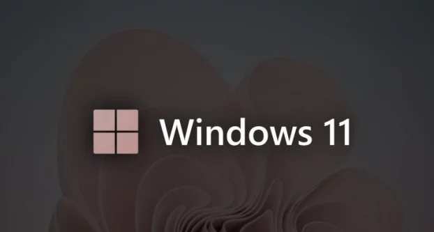 Microsoft ha rilasciato Windows 11 Build 22000.1761